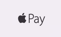 Apple Pay½һ Ϊڻˮ