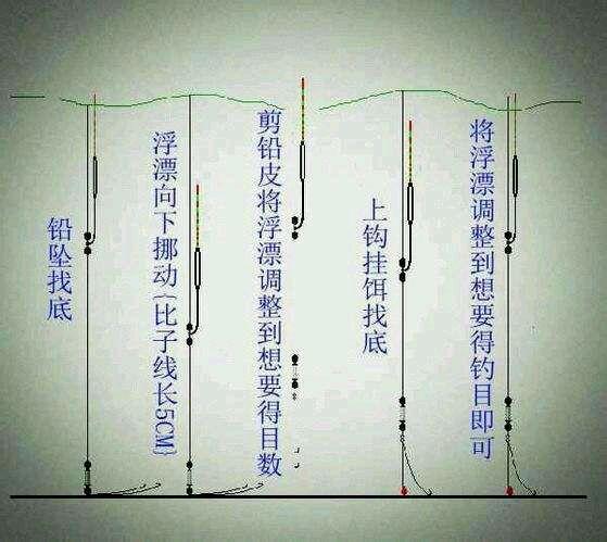 小白钓鱼入门教程（新手钓鱼教程）