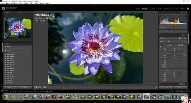 lightroom raw;lightroom raw转jpg导出面板设置