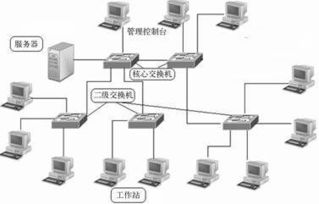 建立局域网的步骤(如何搭建一个局域网)