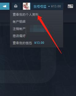 dota2怎么改头像（steam怎么修改问号头像）