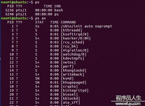 linux命令行怎么打开（如何进入linux命令行界面）