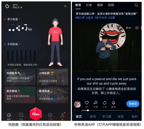 绿巨人APP跳转入口：全新体验尽在掌握，一触即达