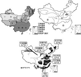 麻豆精产国品一二三产区区别：数字娱新视角全面解析