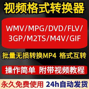 mp4能转成DVD吗(mp4可以转flv吗)