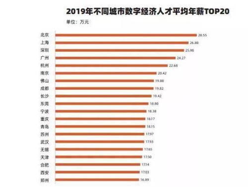 乱码一乱码二乱码三新区，数字时代的精彩探索