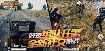 pubg端游有国服吗（pubg端游低配版）