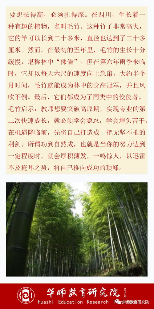 蜜芽忘忧草老狼二区欢迎您：开启心灵之旅，共享成长乐章