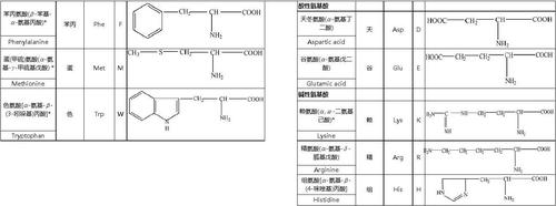asp是什么氨基酸（Tyr是什么氨基酸的缩写）
