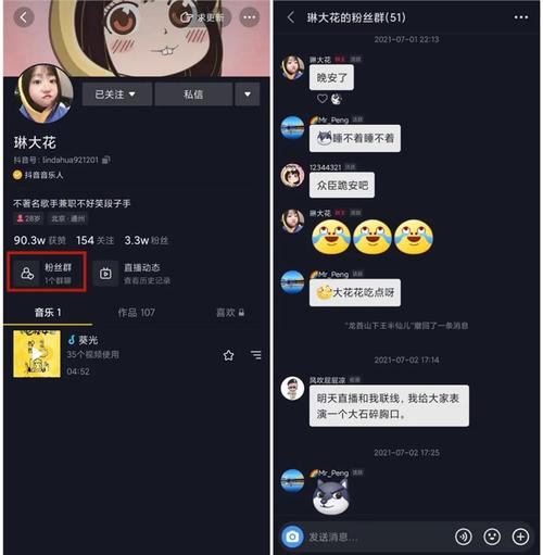 抖音粉丝群跳转微信链接_抖音主页粉丝群链接