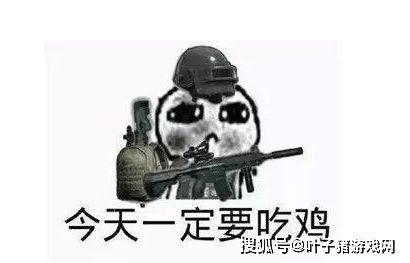 pubg国服上线了吗（pubg国服上线）