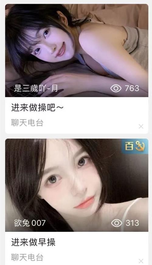 夜间禁用B站APP入口，18款工具助你自由上网