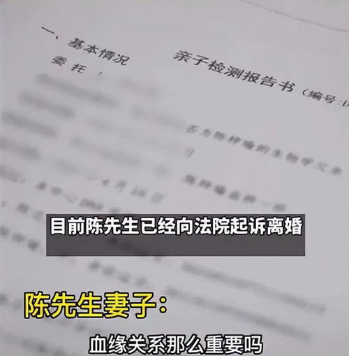 非血缘关系也能成为家人吗？绝区零任务探讨”