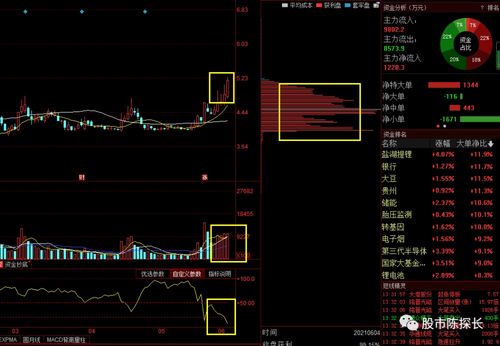 如何领取妄想山海二周年免费万年火狐，攻略待收藏