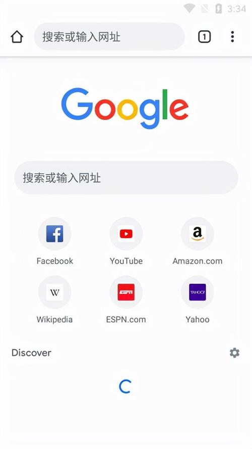 google浏览器在线使用(搜索引擎google)