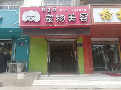 经营宠物护理店(如何经营一家宠物店)