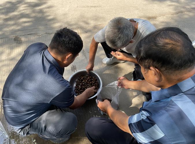 二弟软件分享仓库(彬少软件库)