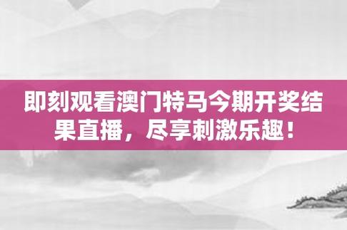 探秘1区1区3区4区产品：乱码仙踪林的神秘之旅