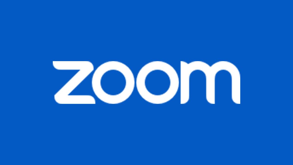 俄罗斯ZOOM人与ZOOM：远程办公新趋势探索