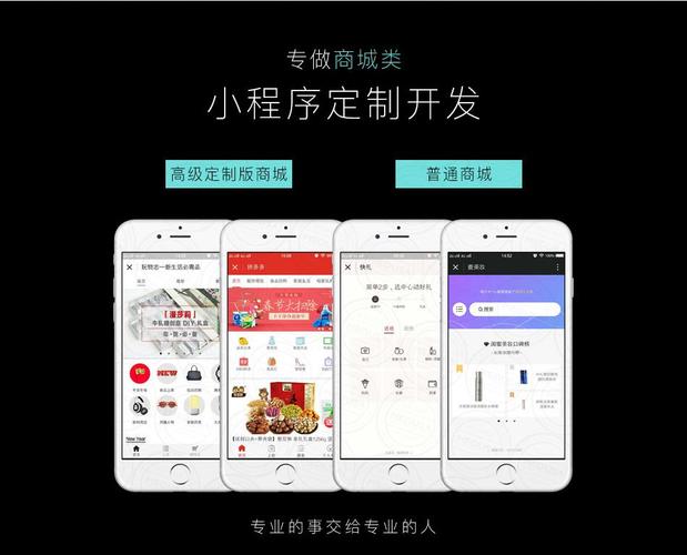 软件app开发公司(小程序软件开发公司)