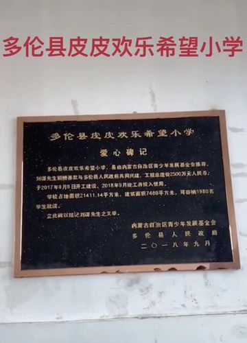 pdd希望小学完工(爱心筑梦,PDD希望小学落成)