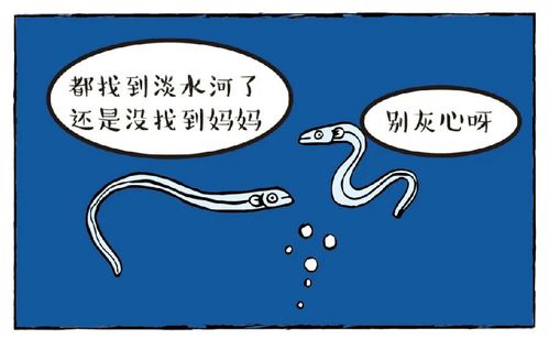 鳗鱼漫画入口在线观看(鳗鱼漫画：在线观看入口，满足你的漫画需求)