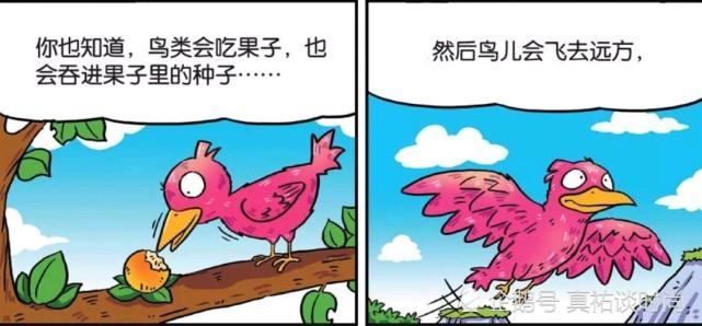 藤蔓漫画入口网站登录(藤蔓漫画：官方入口网站，畅游漫画海洋)