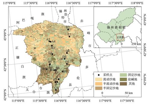 乱码A区D区C区，探寻数字迷踪新境