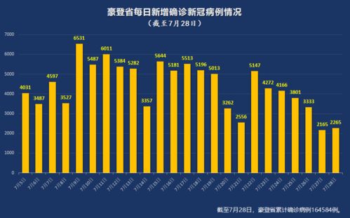 乱码A区D区C区，探寻数字迷踪新境