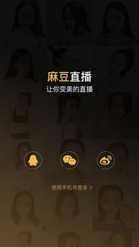 麻豆国产app破解ios(麻豆国产APP破解版：深度解析下载指南)