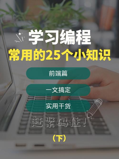 学编程要先学什么(学编程先学什么,新手入门必备步骤)