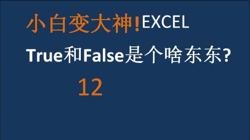 true和false是什么意思