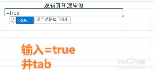 true和false是什么意思