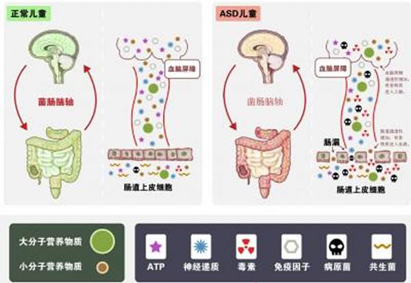 asdasd(asd医学上是什么意思啊)