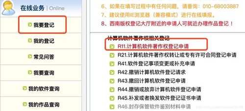 软著代码.net(.NET 软著代码 详细说明申请流程和所需材料)