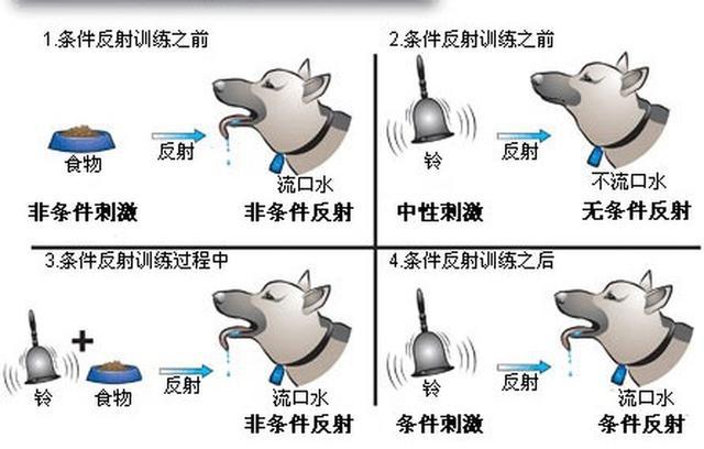 什么是条件反射(条件反射有哪些例子)