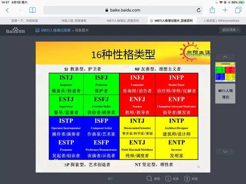 16型人格最受欢迎排行(16型人格哪个好)