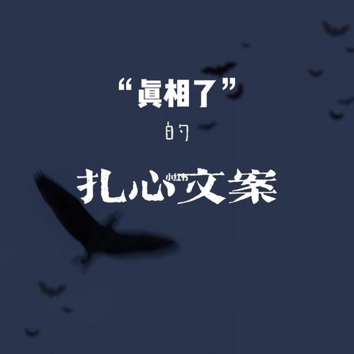 看视频软件挣钱文案高级(看视频软件挣钱文案搞笑)