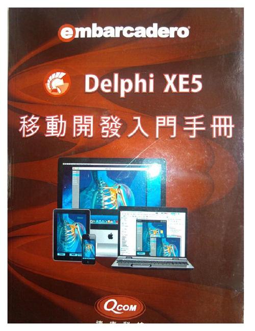 delphi是什么牌子(delphi是什么牌子的电脑版)