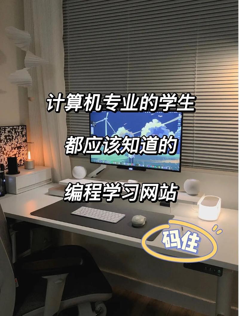 计算机编程入门先学什么(计算机编程入门应该先学什么)