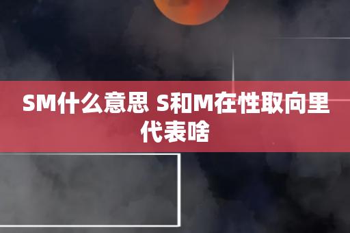 m是什么意思(s和m性取向代表什么)