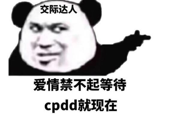 cpdd是什么意思网络用语(cpdd谈恋爱软件)