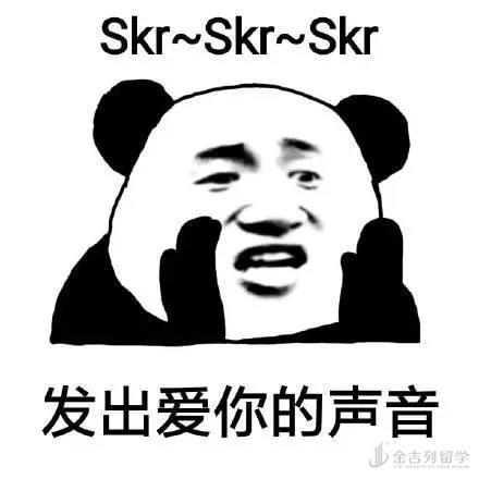 skr是什么意思(skr这个梗怎么解释)