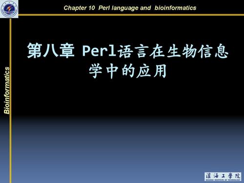 perl是什么意思(perl是啥)