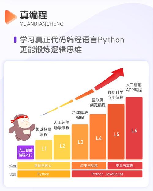 网上学编程课哪个机构好(网上学编程课有用吗)