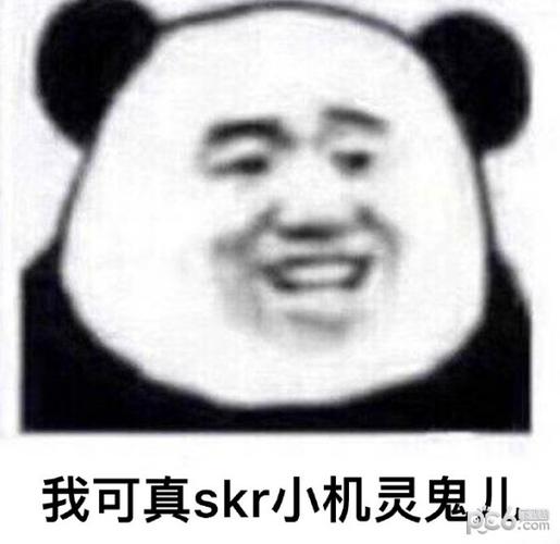 skr什么意思(skr这个梗怎么解释)