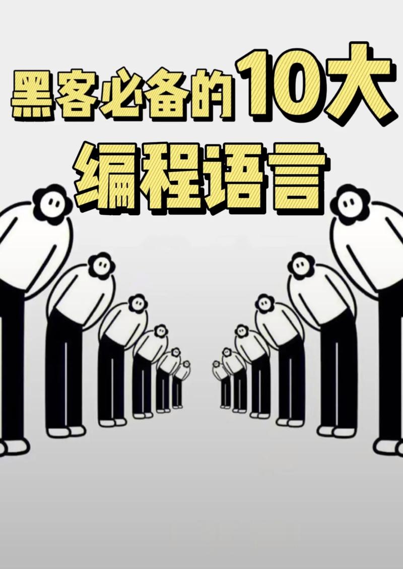 新手学编程先学什么语言