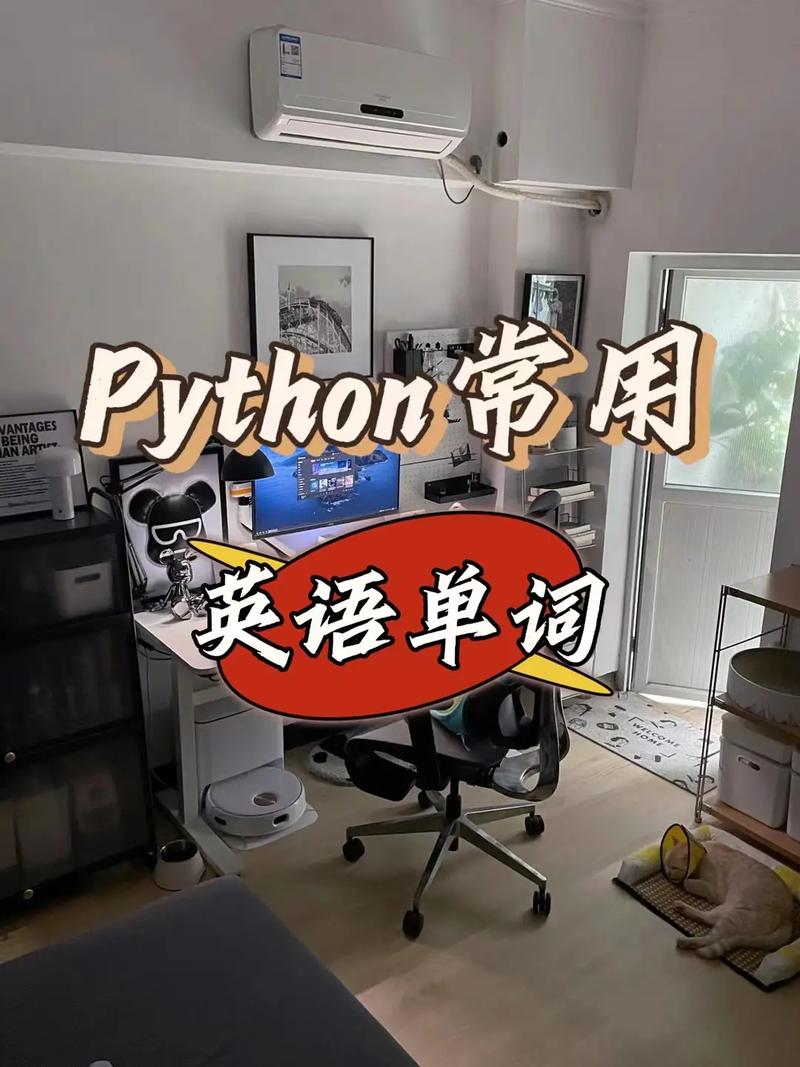 python在哪里学比较好(哪里学python最好)