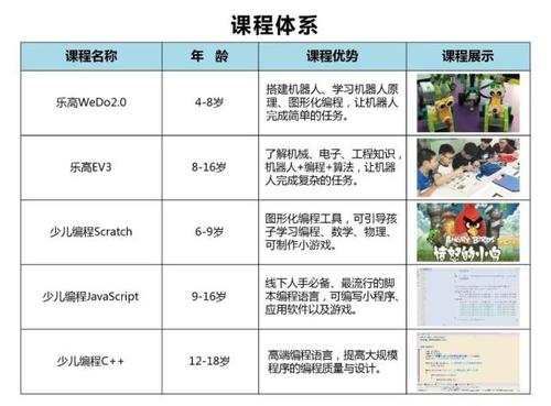 小学生编程课主要学什么(小学生编程课主要学什么内容)