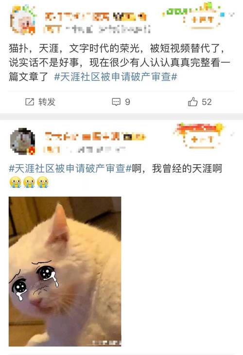 窜天猴看视频能赚钱吗(崔哥天天看视频号怎么赚钱)